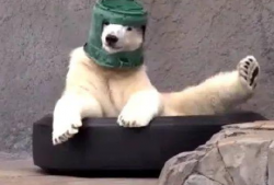 沙雕吃瓜爆料视频下载,一场网络爆料的狂欢盛宴