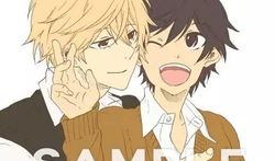 独占我的英雄动漫,命运交织的荣耀之战