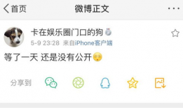 吃瓜爆料配乐叫什么来着,背后的故事与旋律魅力
