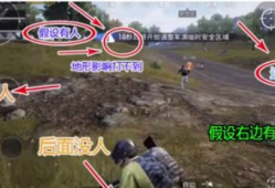 和平精英吃瓜爆料q区,揭秘游戏幕后那些事儿