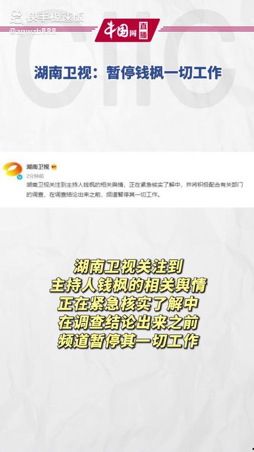 娱乐圈吃瓜暗语,暗语背后的真实故事  第3张