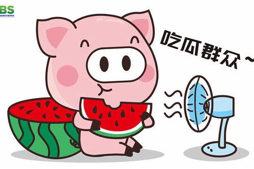 娱乐吃瓜酱的素材,吃瓜酱带你探秘明星幕后故事  第3张